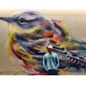 Meet your Posher, Syed inamullah